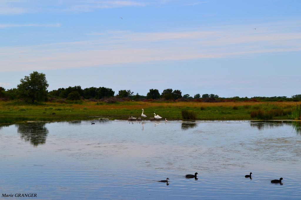 Gite Les Vents Du Large L'Aigrette Le Crotoy Exterior photo